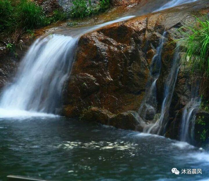 学习插花艺术